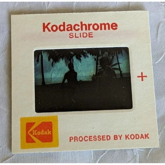 Kodachrome Slide Octopus Ocean Tourist Africa Holding Palm Trees Kodak Vtg 1979 - Picture 4 of 9